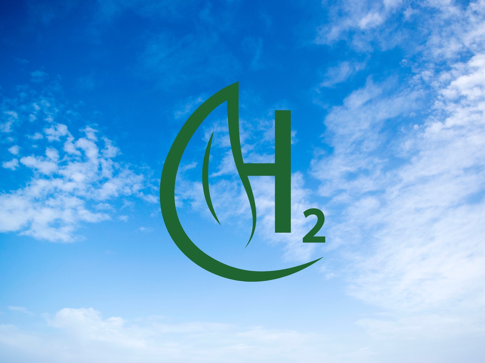 Renewable Energy Executive Search